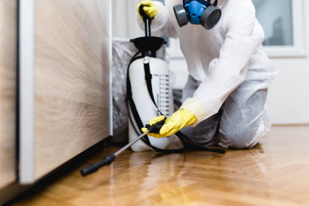 Best Best Pest Control Companies  in Radford, VA