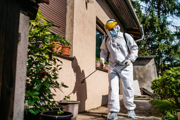 Best Rodent Control Near Me  in Radford, VA