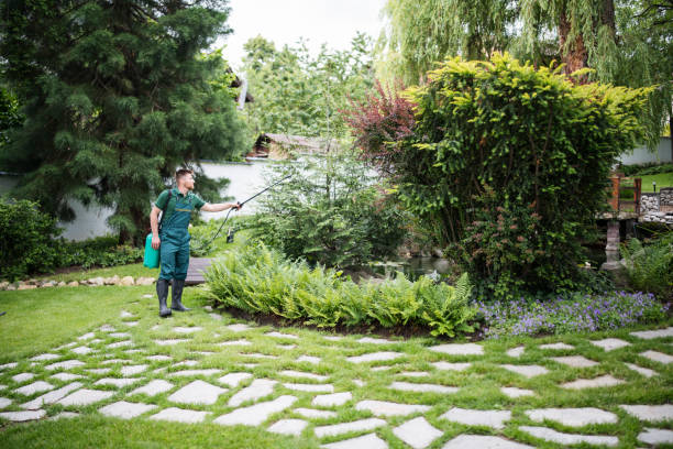 Best Ant Control Services  in Radford, VA