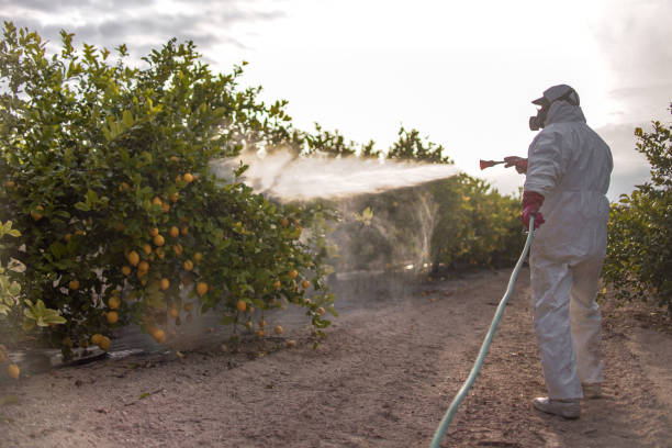 Best Pest Removal Services  in Radford, VA