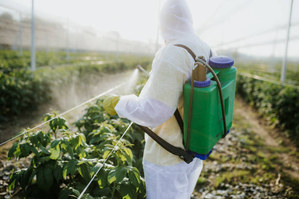 Best Best Pest Control Companies  in Radford, VA